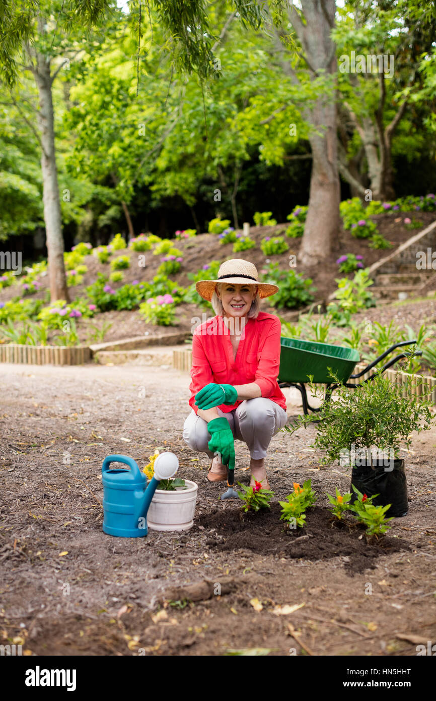 Portrait of senior woman gardening in the garden Stock Photo - Alamy