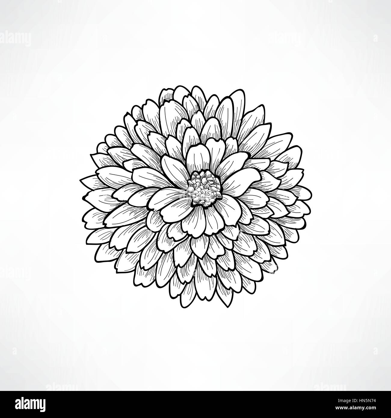 Floral background. Greeting card with flower. Flourish border. Gentle decor with summer flower dahlia. Black and white vector illustration Stock Vector
