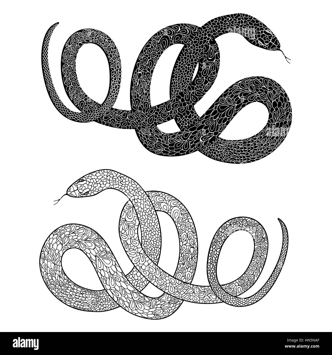 Snake set. Engraved hand drawn vector illustraction of ornamental decorated in zentagle style snakes. Stock Vector