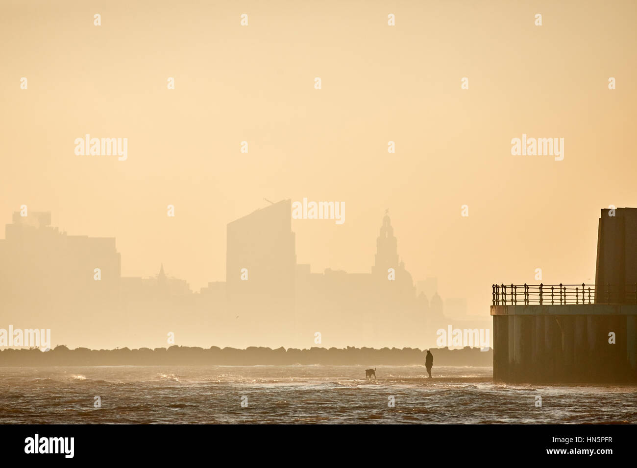 Dog walking at Liverpool bay golden sunrise from New Brighton beach in