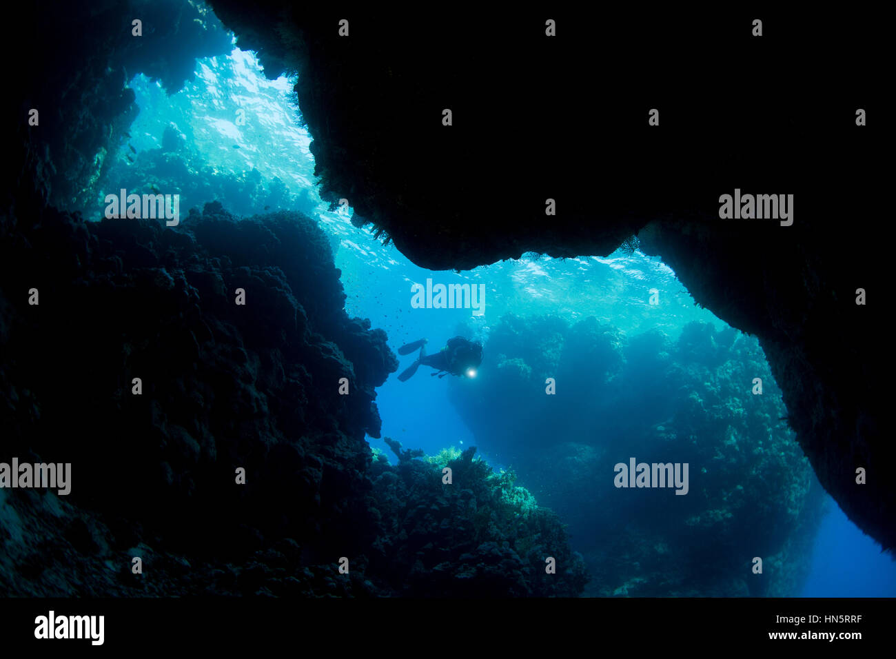 Scuba diver at St. John's Caves, Red Sea Stock Photo - Alamy
