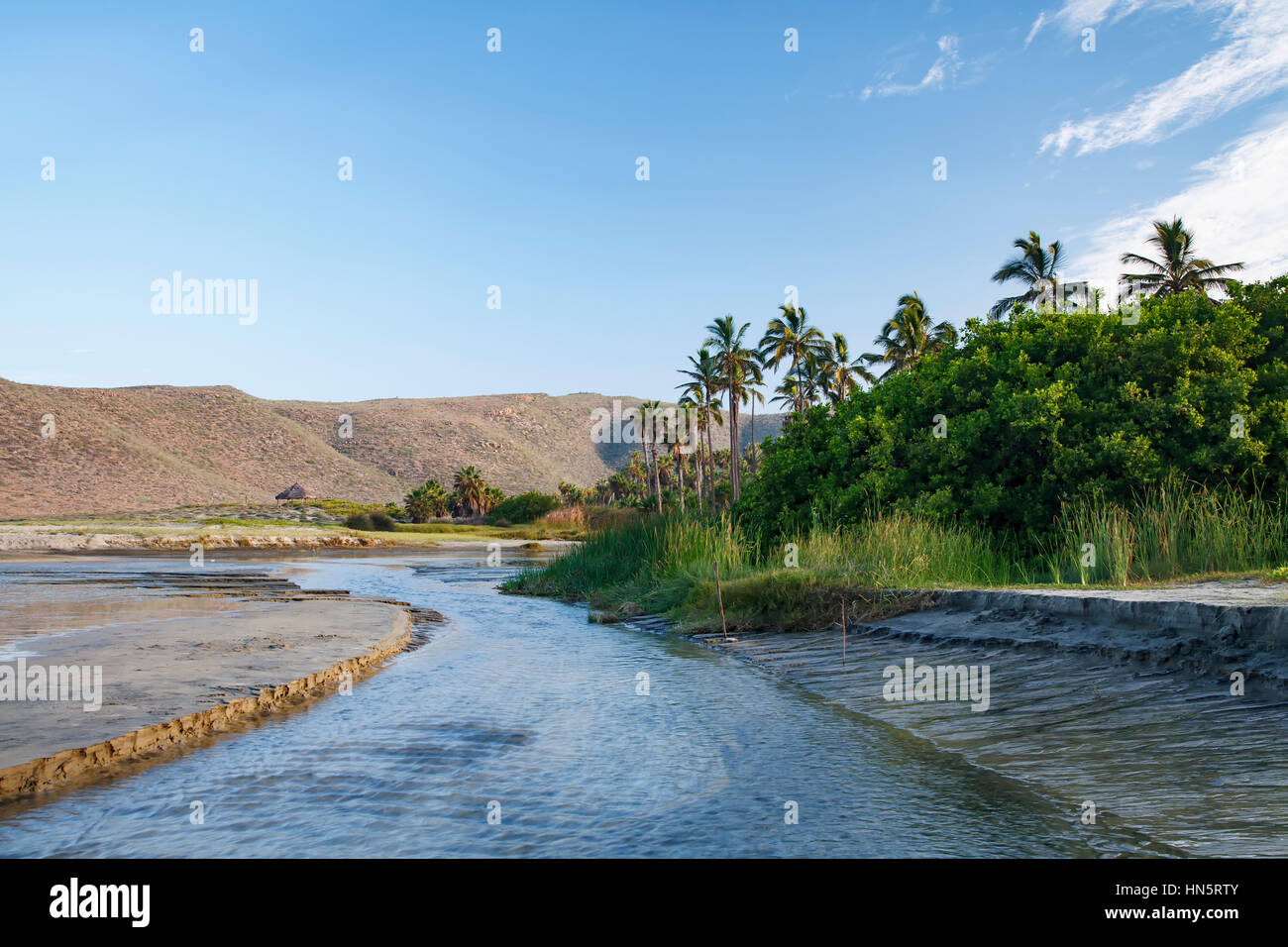 Las palmas beach and todos santos hires stock photography and images