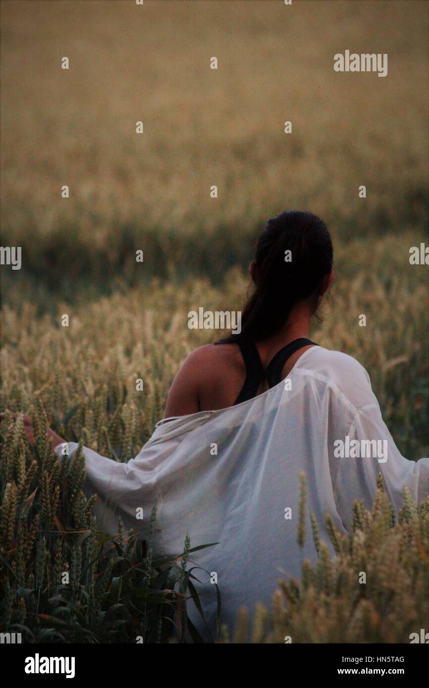 Young lady walking through the golden crop fields at dusk Stock Photo