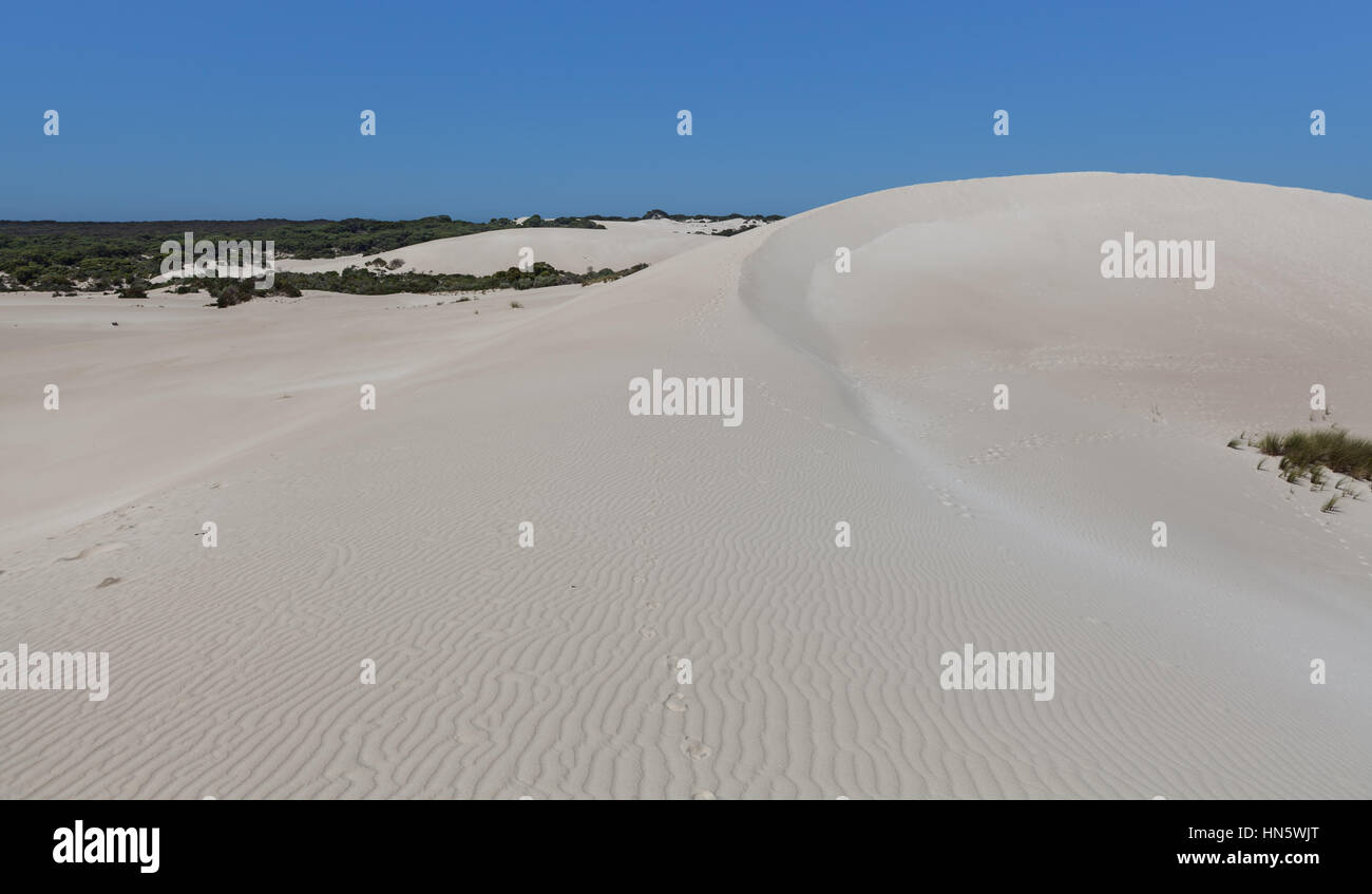 Big white sand dune - Little Sahara, Kangaroo Island, South Australia Stock Photo