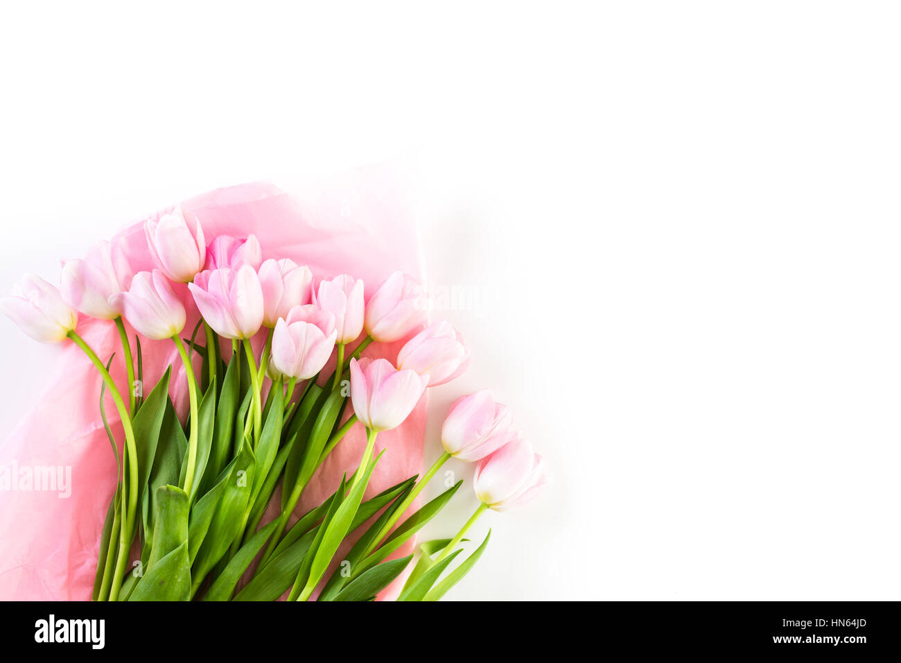 Bouquet of pink tulips on a white background Stock Photo - Alamy