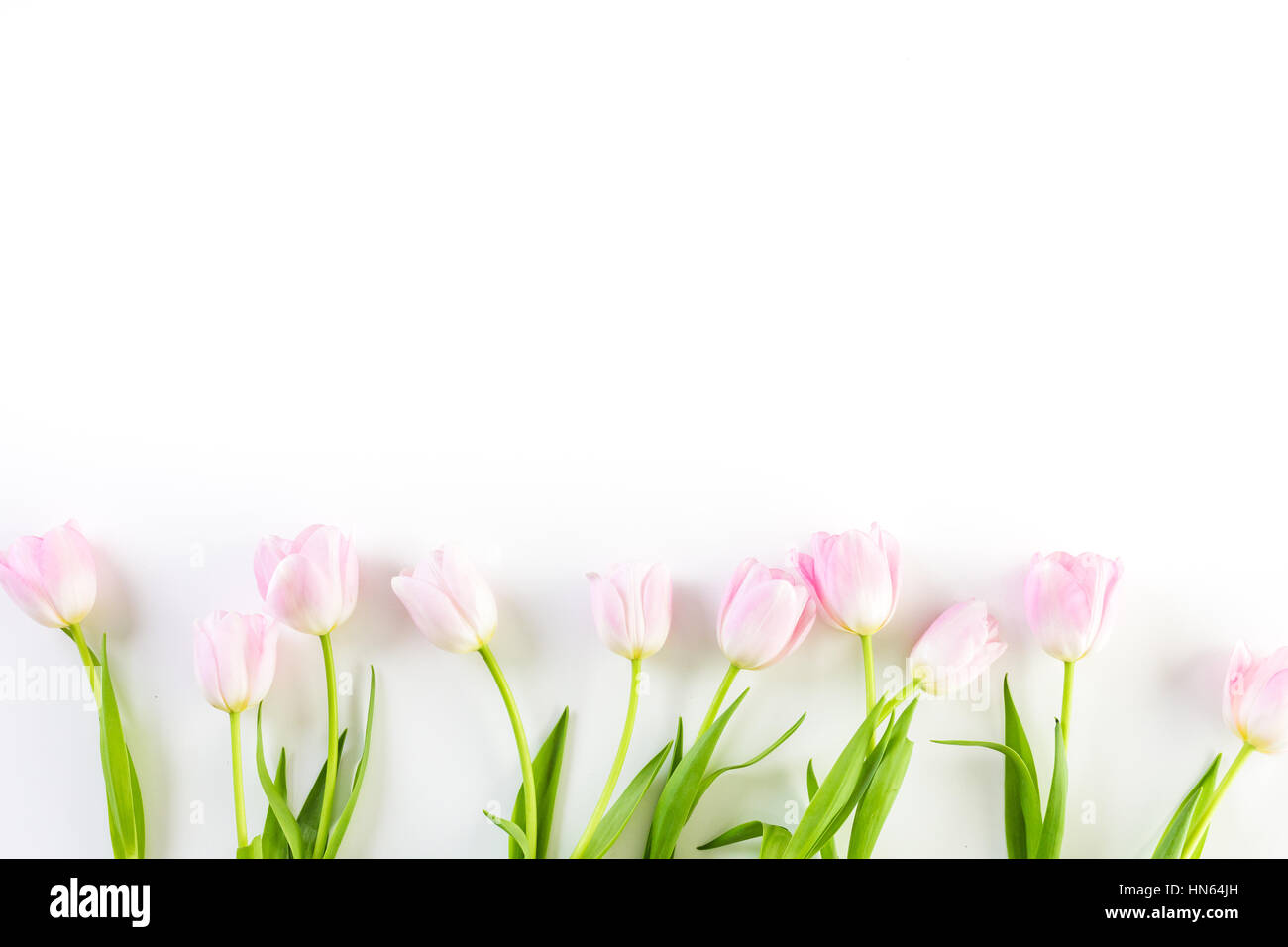 Bouquet of pink tulips on a white background Stock Photo - Alamy