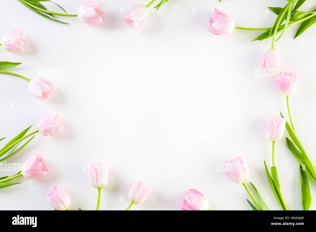 Bouquet of pink tulips on a white background Stock Photo - Alamy