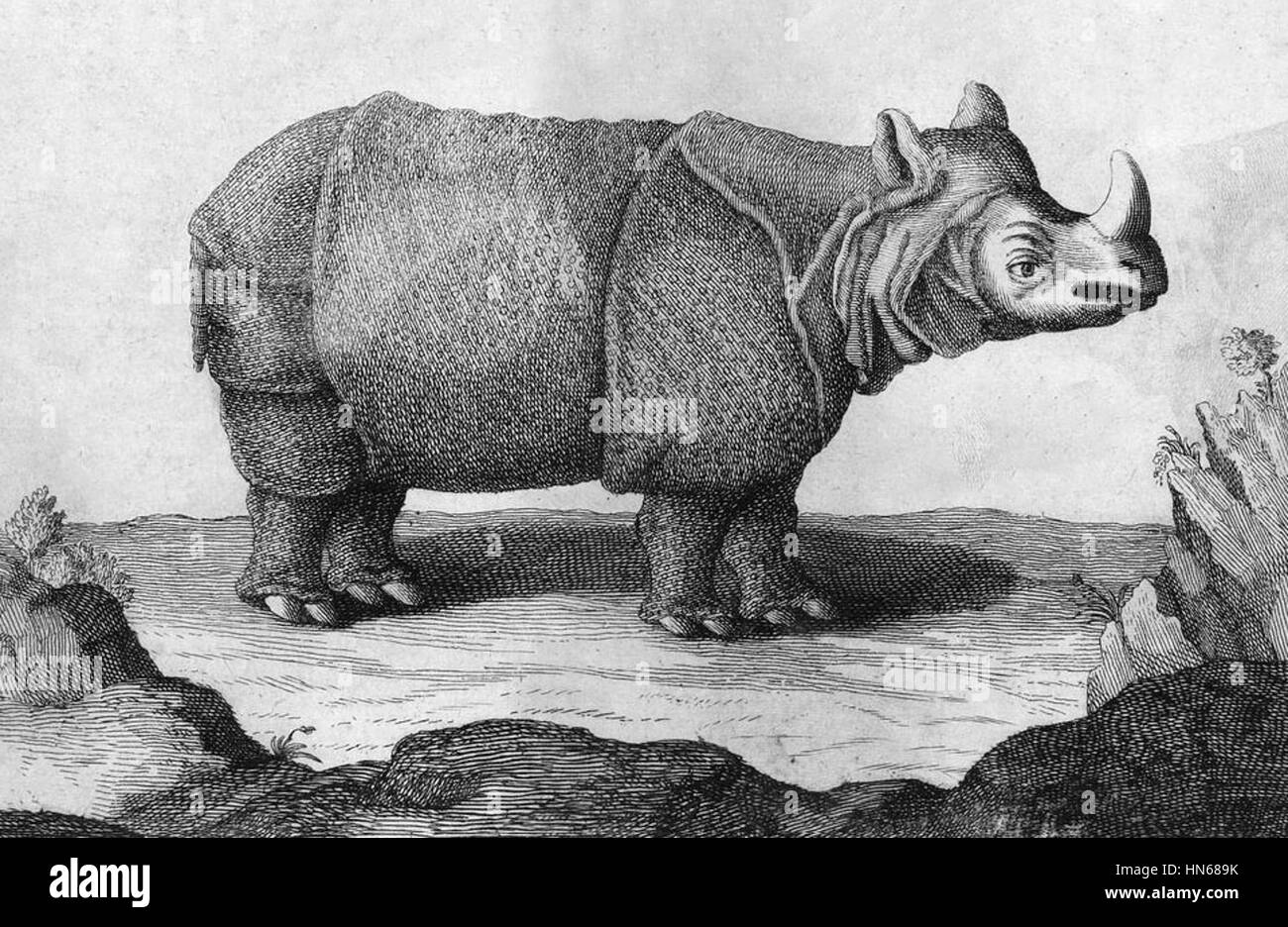 38 Chardin Rhinoceros in Iran 1670s Stock Photo