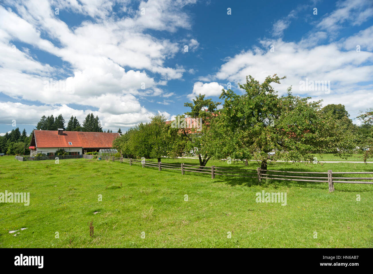 House with apple trees in Upper Bavaria, Germany Stock Photo