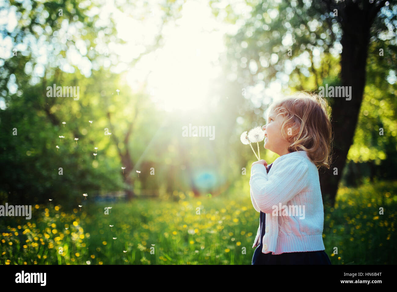 child with dandelion Stock Photo