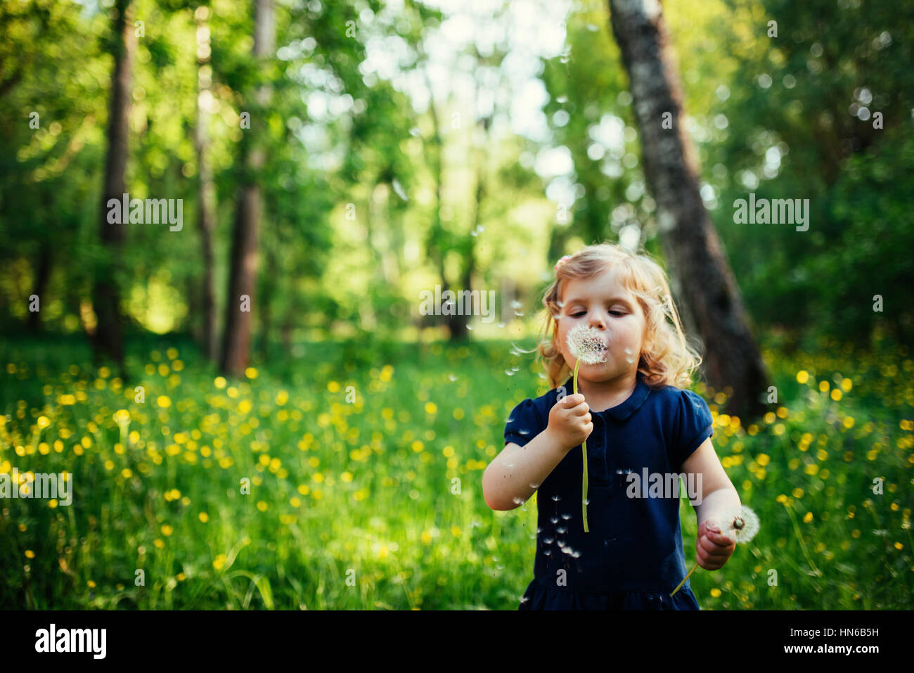 child with dandelion Stock Photo