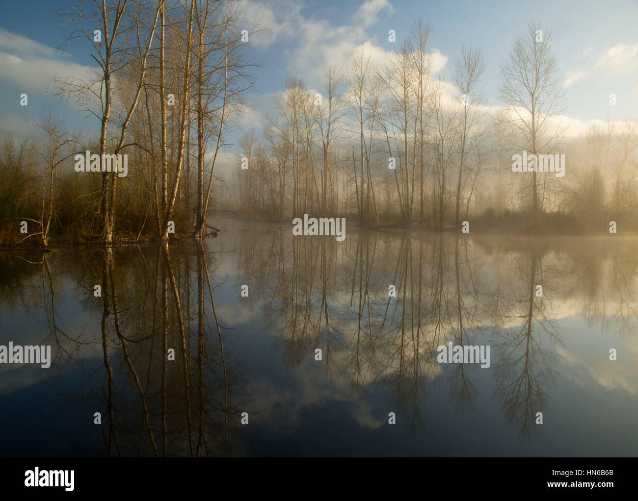 Pond, St Louis Ponds Wildlife Area, Oregon Stock Photo Alamy