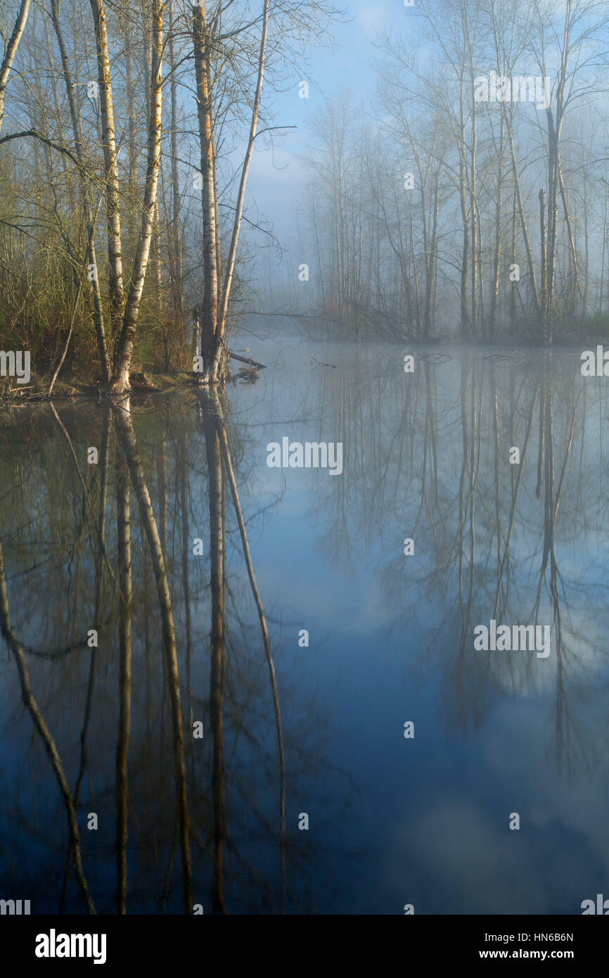 Pond, St Louis Ponds Wildlife Area, Oregon Stock Photo Alamy
