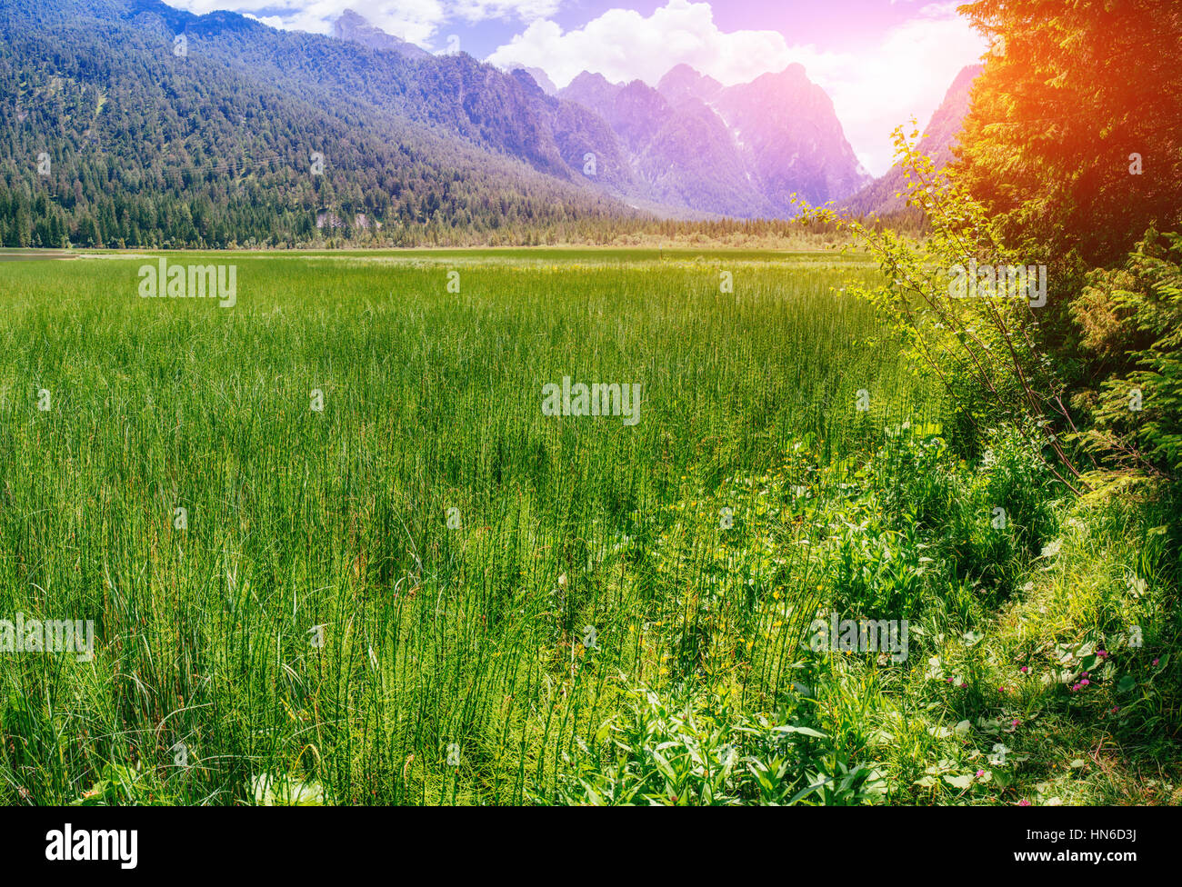 Rocky Mountains at sunset. Dolomite Alps Italy Stock Photo - Alamy