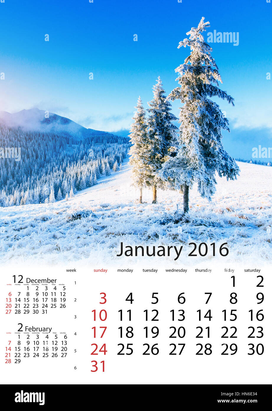 Calendar January 2016 - winter landscape trees in frost Stock Photo