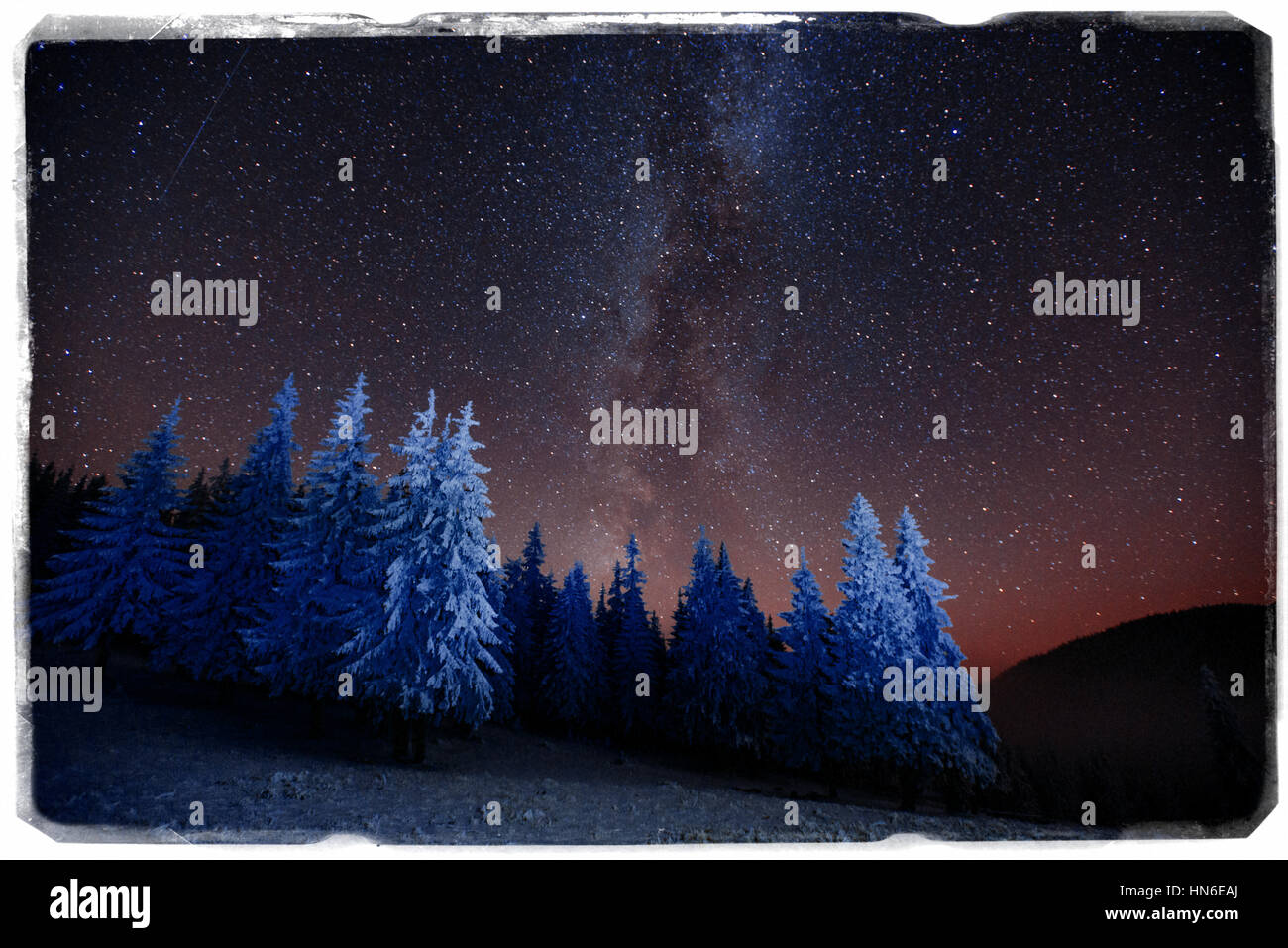 magic tree in starry winter night - Vintage effect Stock Photo