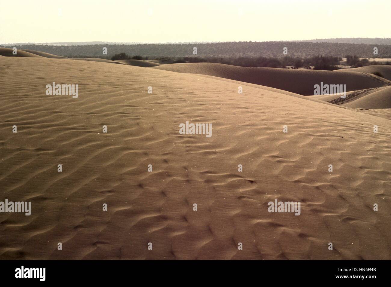 desert in rajasthan Stock Photo