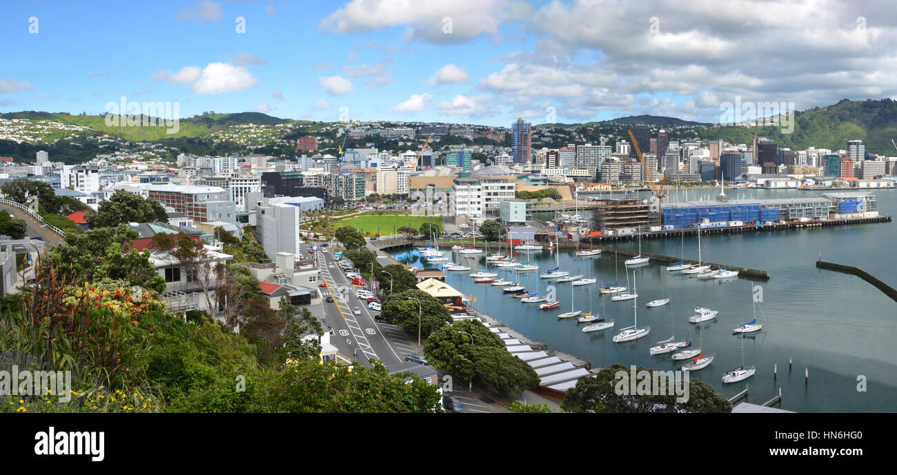 Wellington City Panorama on a Spring day in New Zealand from Oriental Bay. Stock Photo