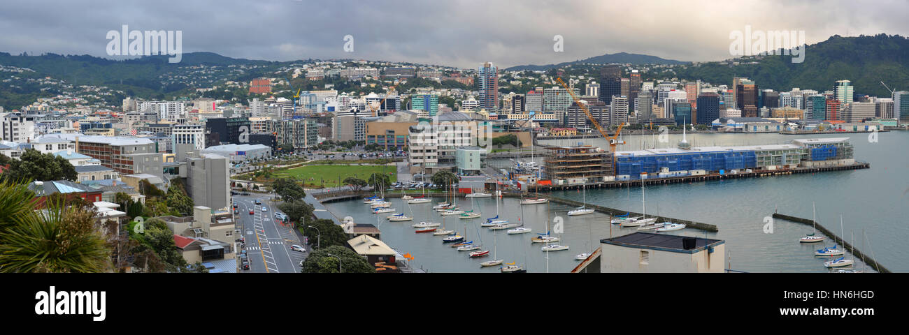 Wellington City Panorama from Oriental Bay in early Morning, New Zealand Stock Photo