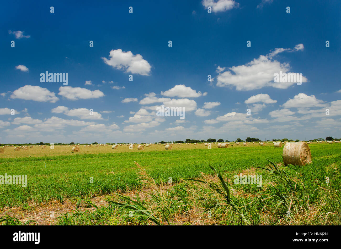 After they gather the hay hi-res stock photography and images - Alamy