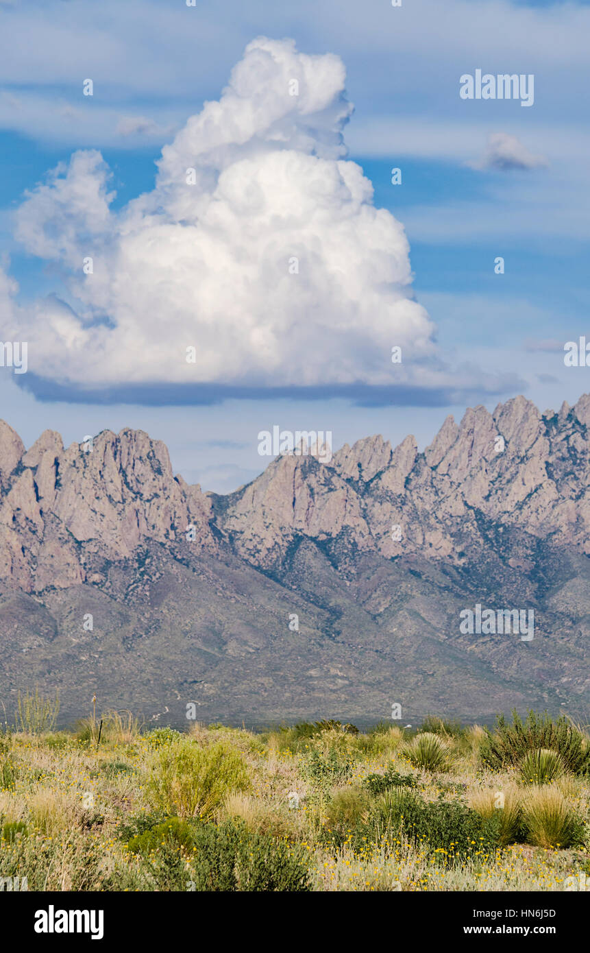 Vertical view of the Organ Mountains with a large solitary cloud overhead in as Cruces, New Mexico Stock Photo