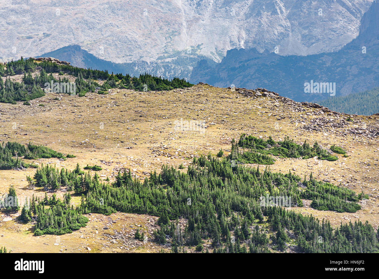 Aerial view of plains in the Rocky Mountains with scattered pine forests in Colorado Stock Photo