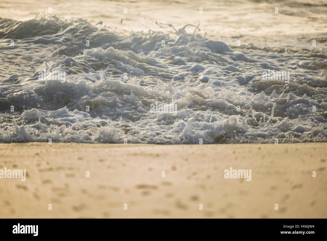 Crashing foamy wave on a shore during sunset with soft light Stock