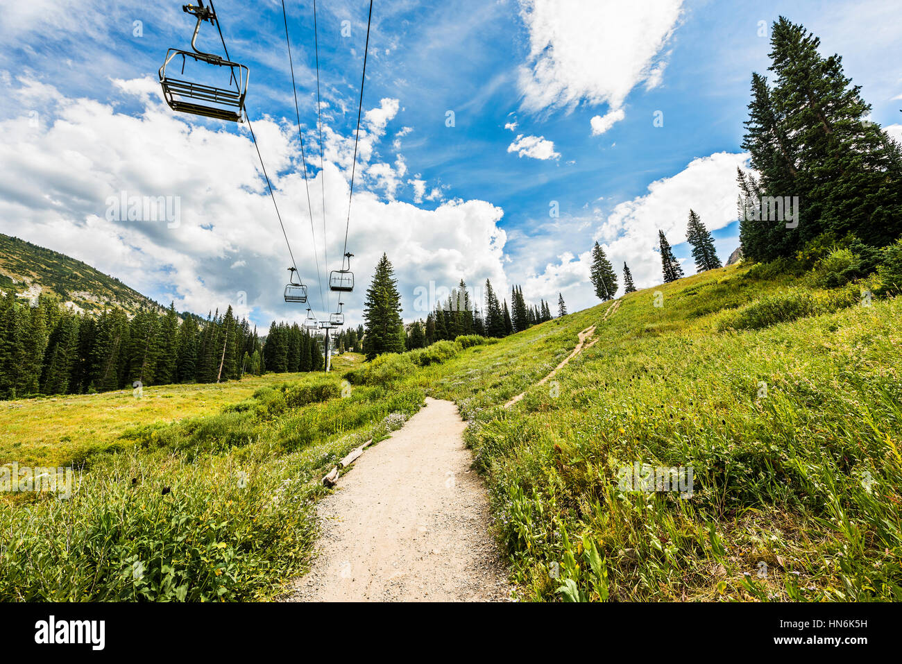 Ski Lift in Alpine Meadows in Albion Basin, Utah during summer Stock