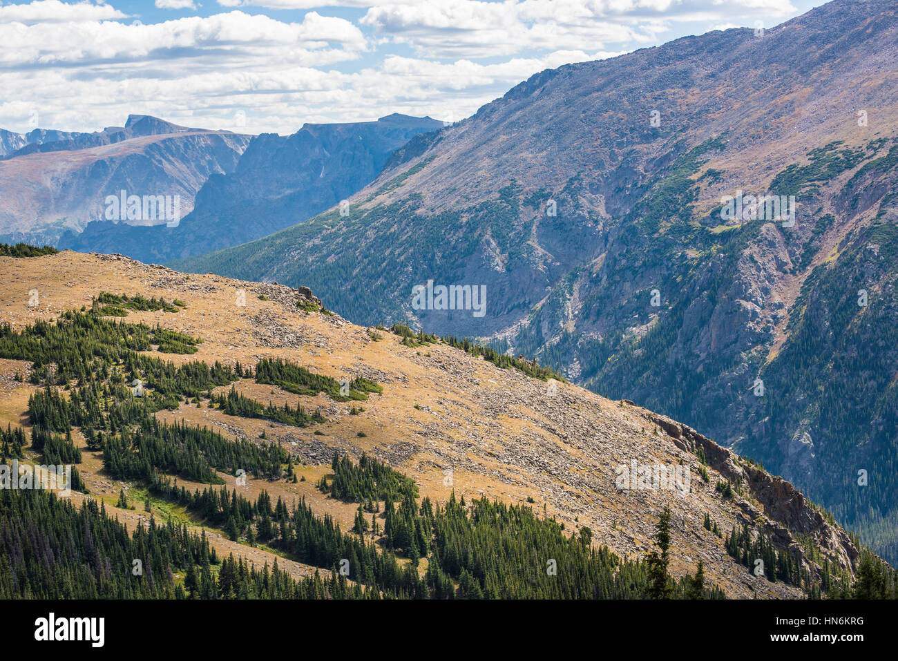 Aerial View Of Plains In The Rocky Mountains With Scattered Pine Stock Photo Alamy