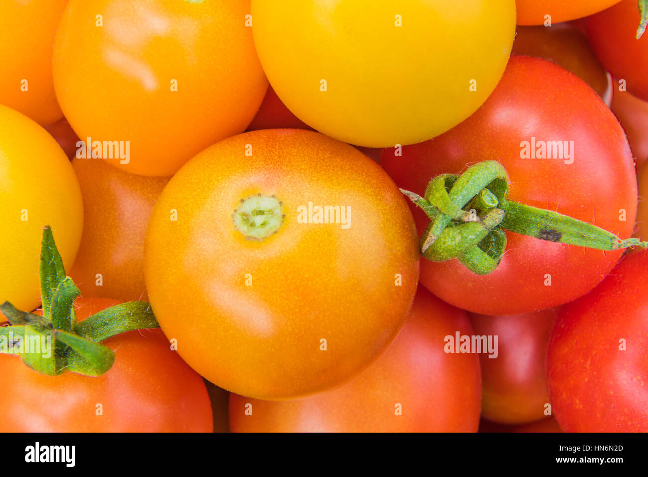 Closeup of red yellow and orange cherry tomatoes Stock Photo