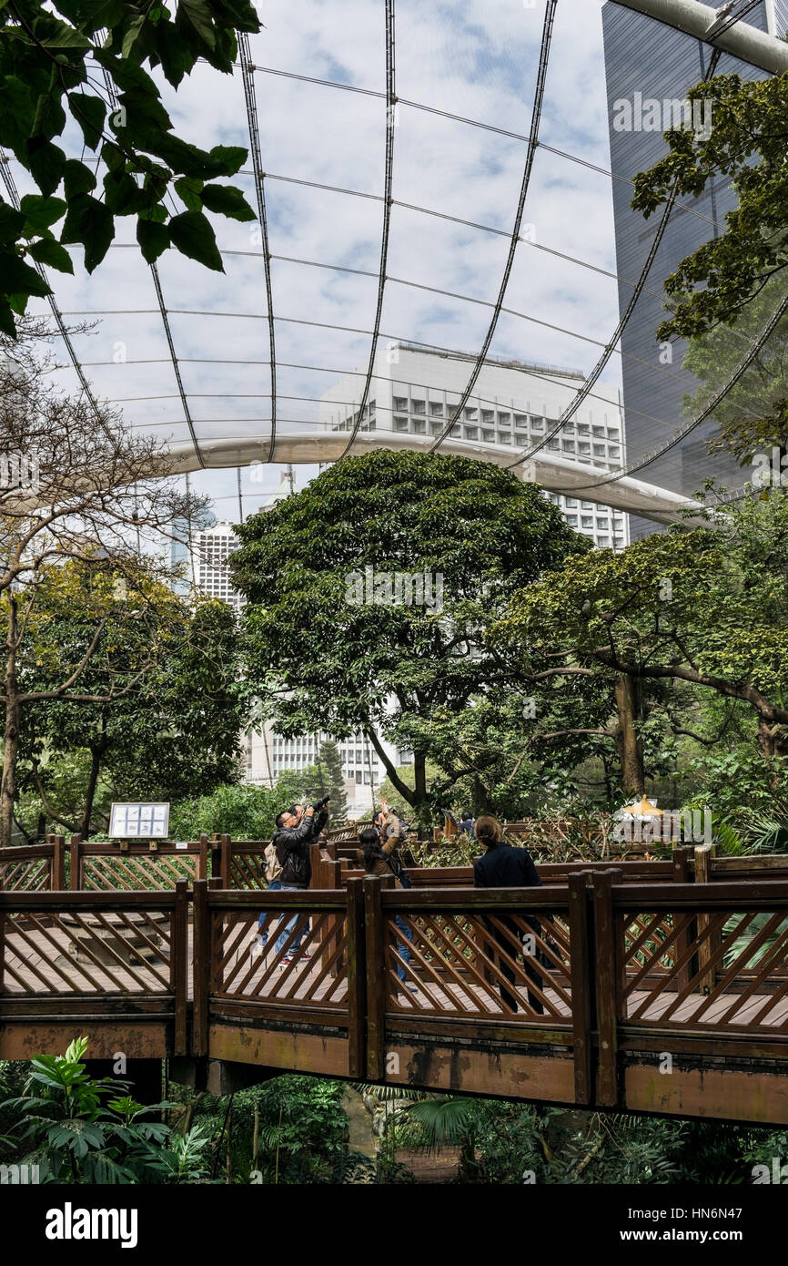 Inside Of Edward Youde Aviary In Hong Kong Stock Photo - Alamy