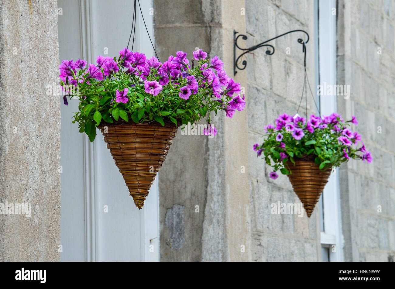 Hanging purple flower pots cones in urban area Stock Photo