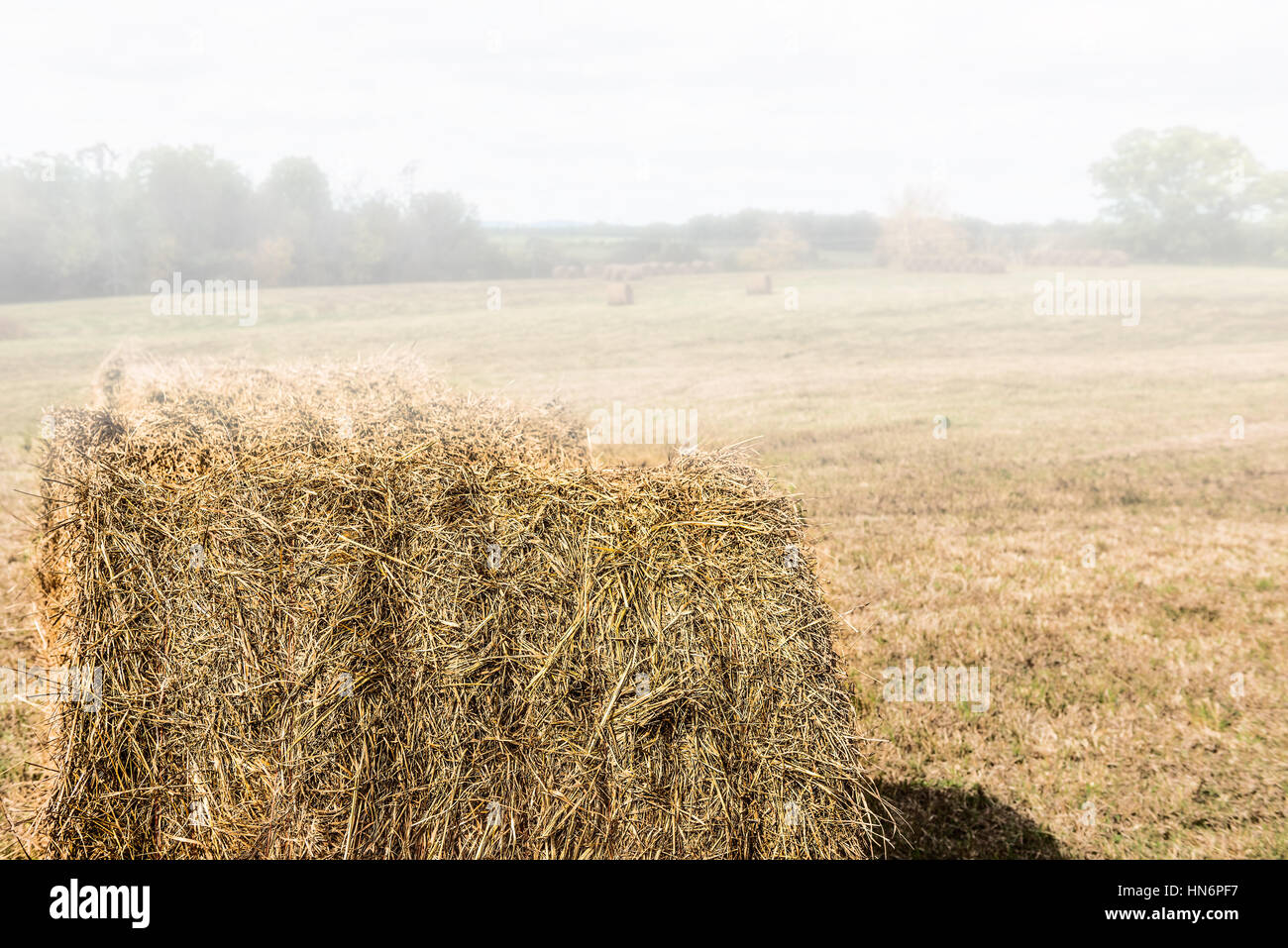 Closeup of hay roll haystack in countryside field with fog in distance ...