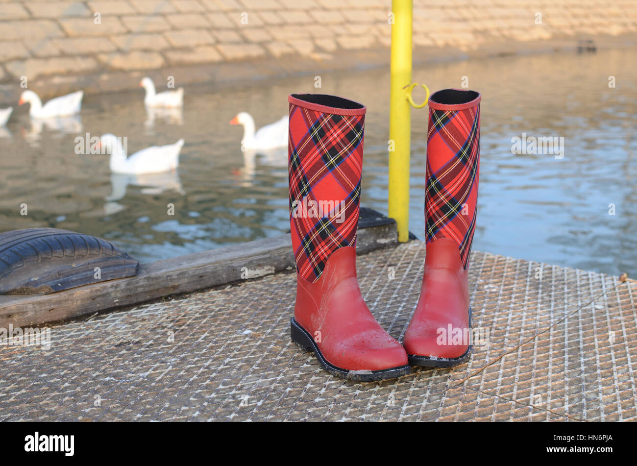 Red plaid rain boots new arrivals