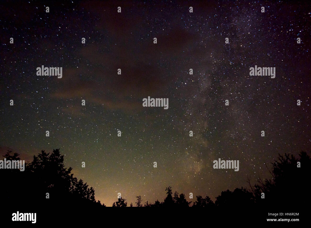 Night sky with the milky way, stars and tree silhouettes Stock Photo ...