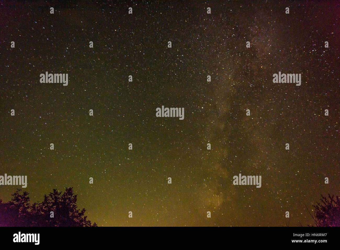 Night sky with the milky way, stars and tree silhouettes Stock Photo ...