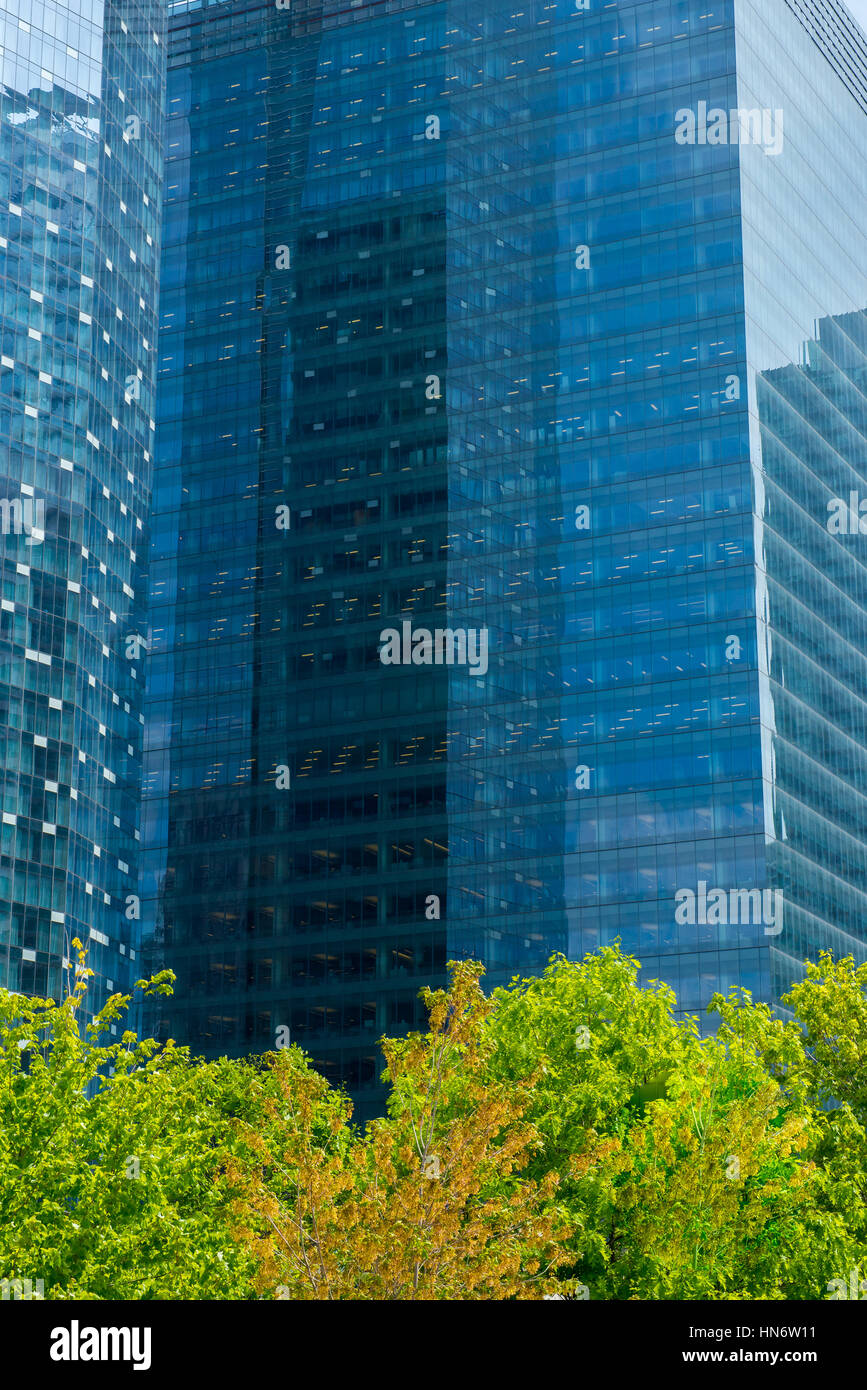 View on the downtown of Toronto City, Ontario province, Canada Stock ...