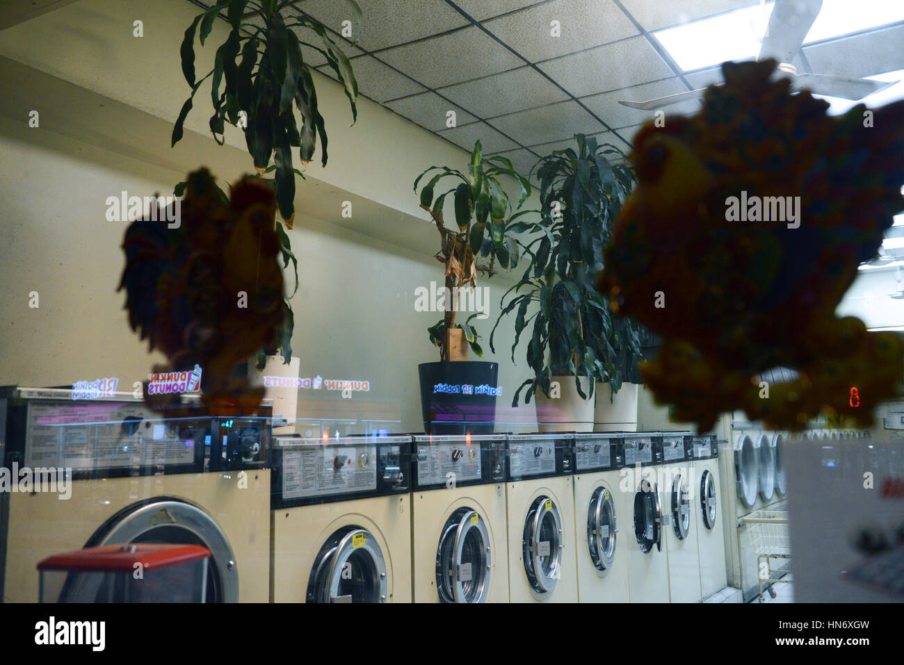 Laundromat, Williamsburg, Brooklyn, NYC Stock Photo Alamy
