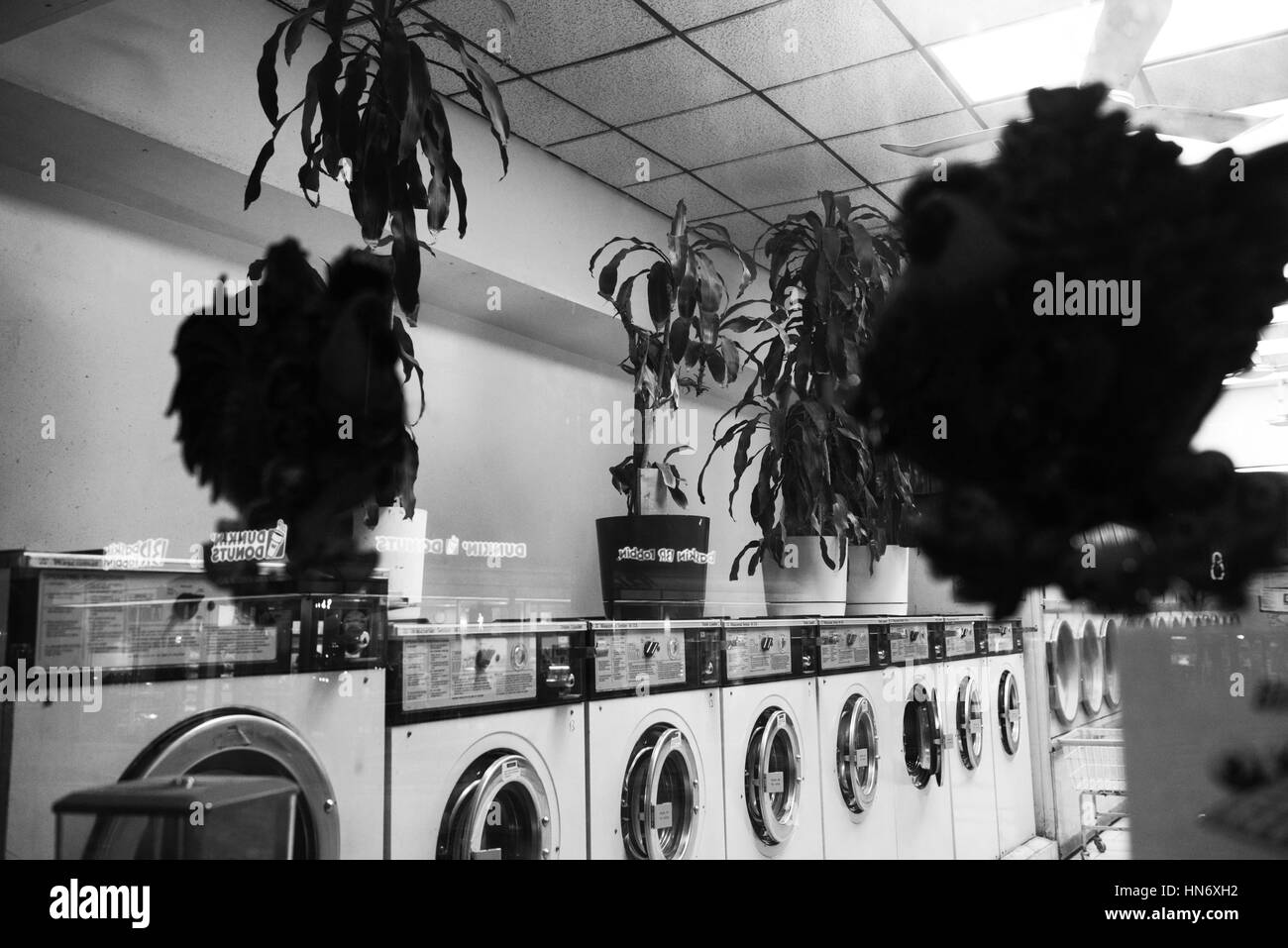 Laundromat Black and White Stock Photos & Images Alamy