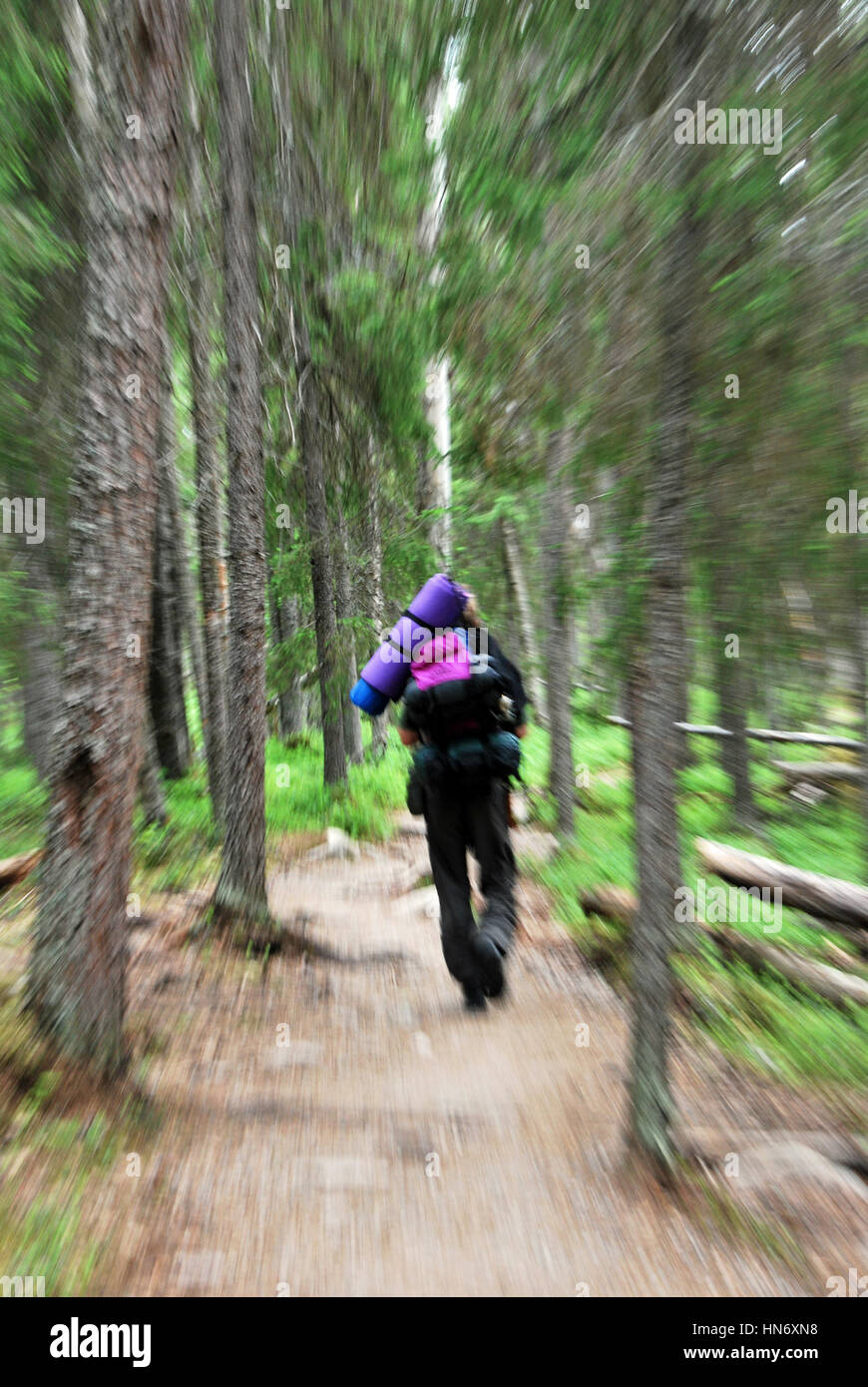 Man with a rucksack on his back running away in the scandinavian forest Stock Photo