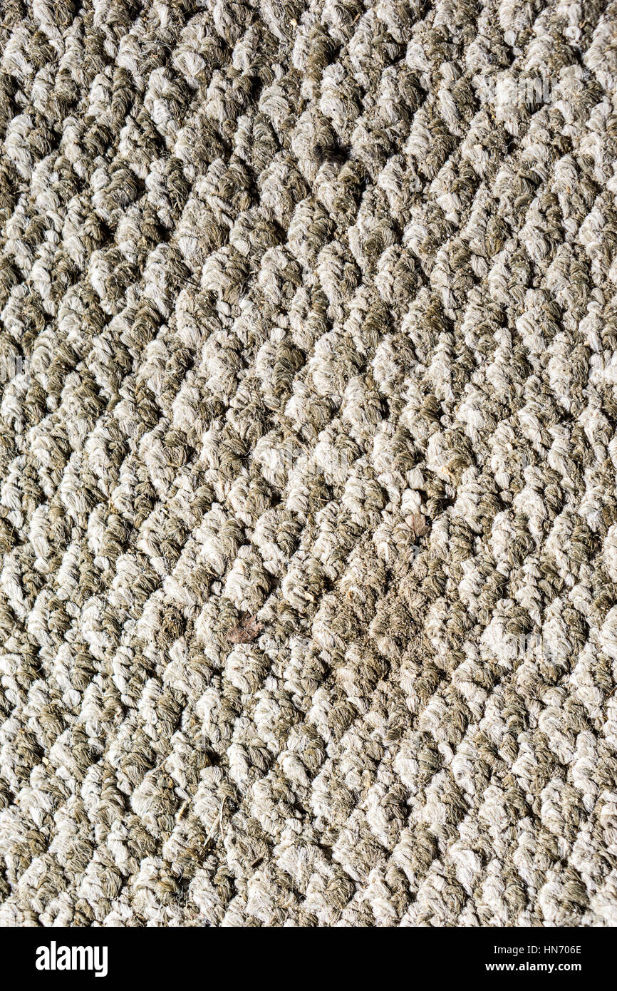 close up of a area rug carpeting Stock Photo Alamy