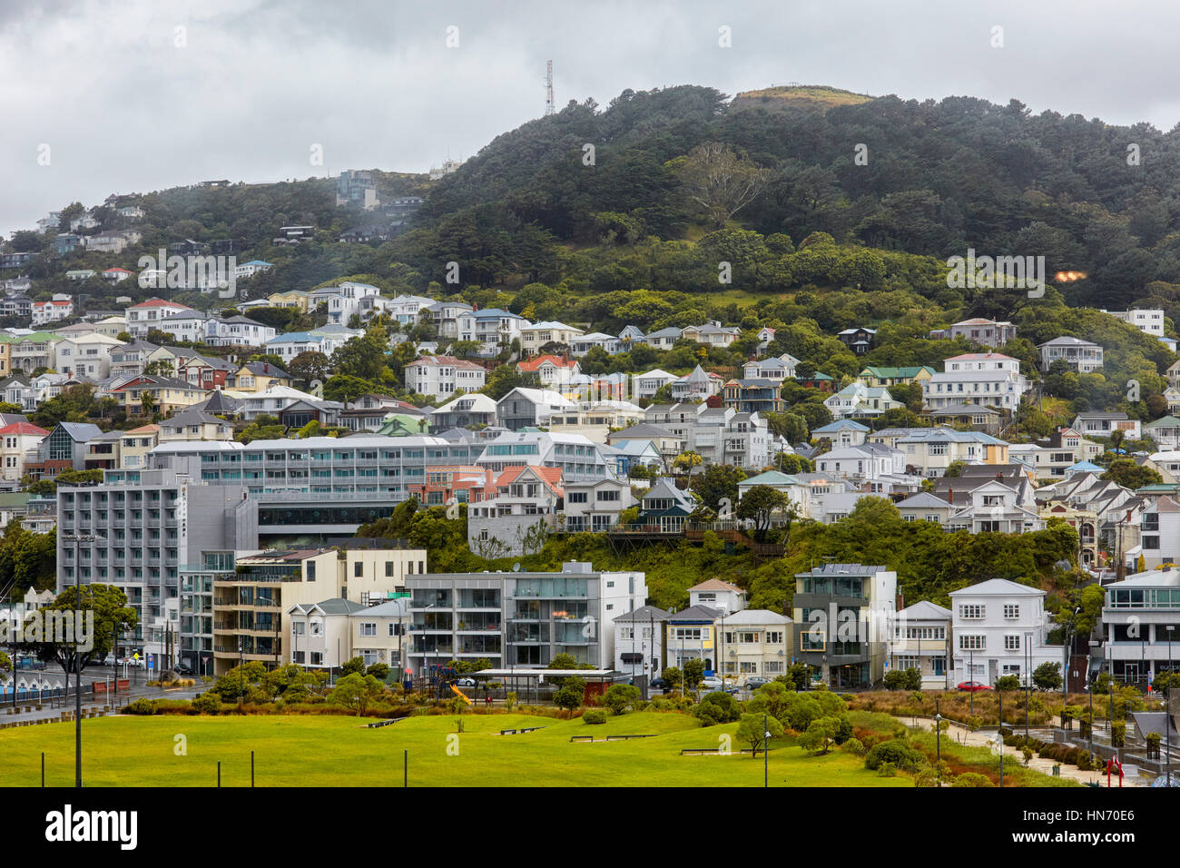 Mount Victoria, Wellington, New Zealand Stock Photo