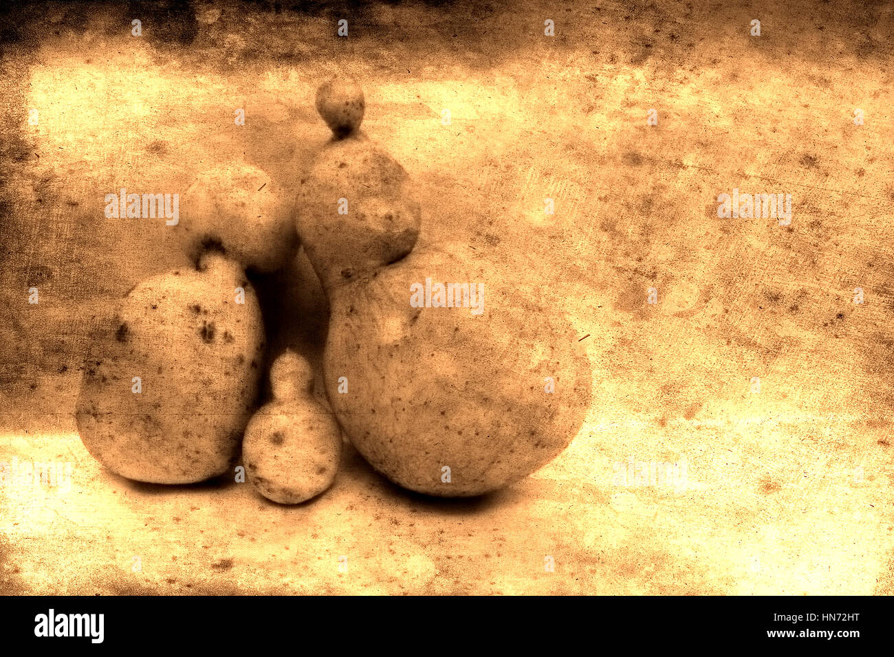 Potato Family of 3 Number 7 of 47 Stock Photo