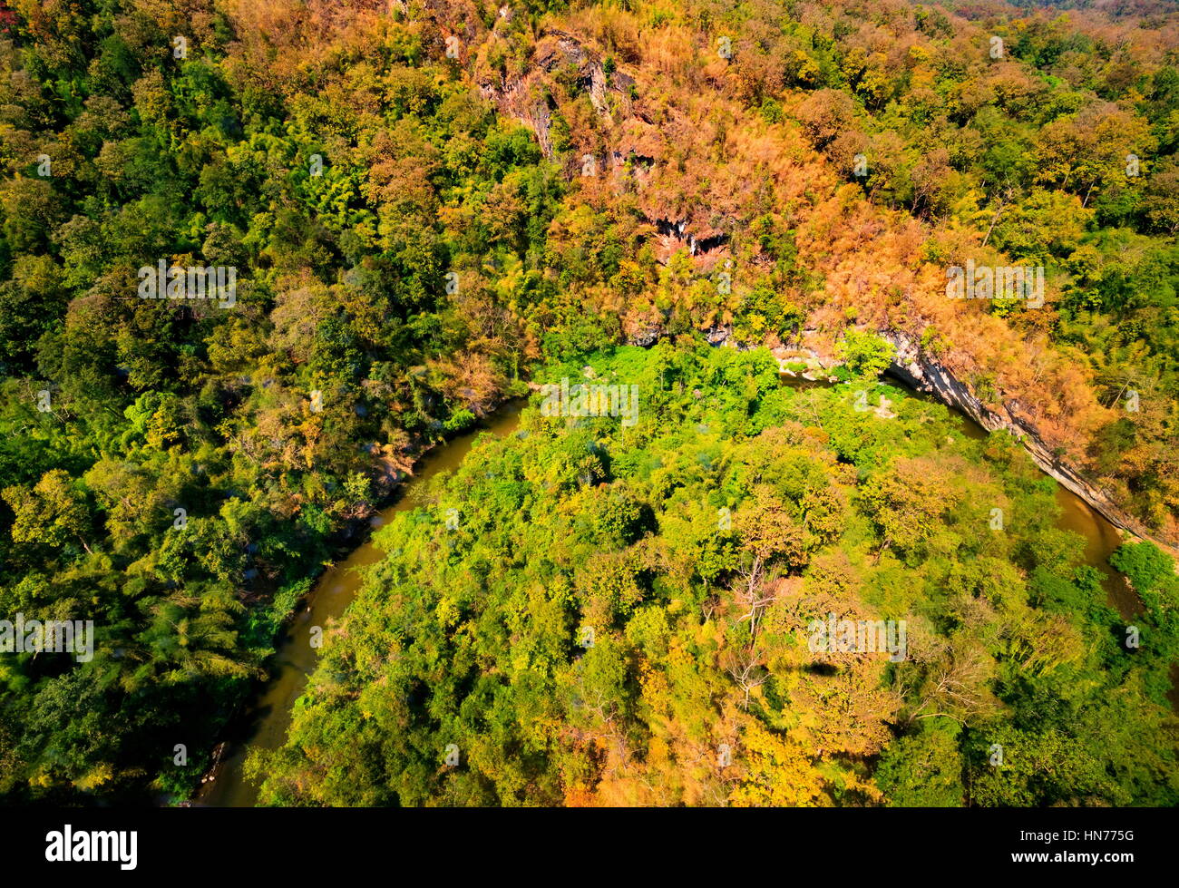 Aerial view of autumn forest Stock Photo - Alamy