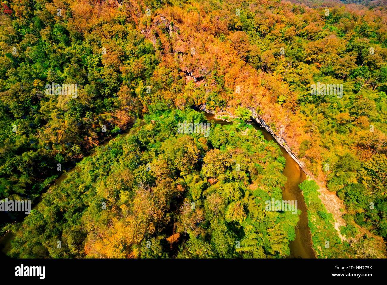 Aerial view of autumn forest Stock Photo - Alamy