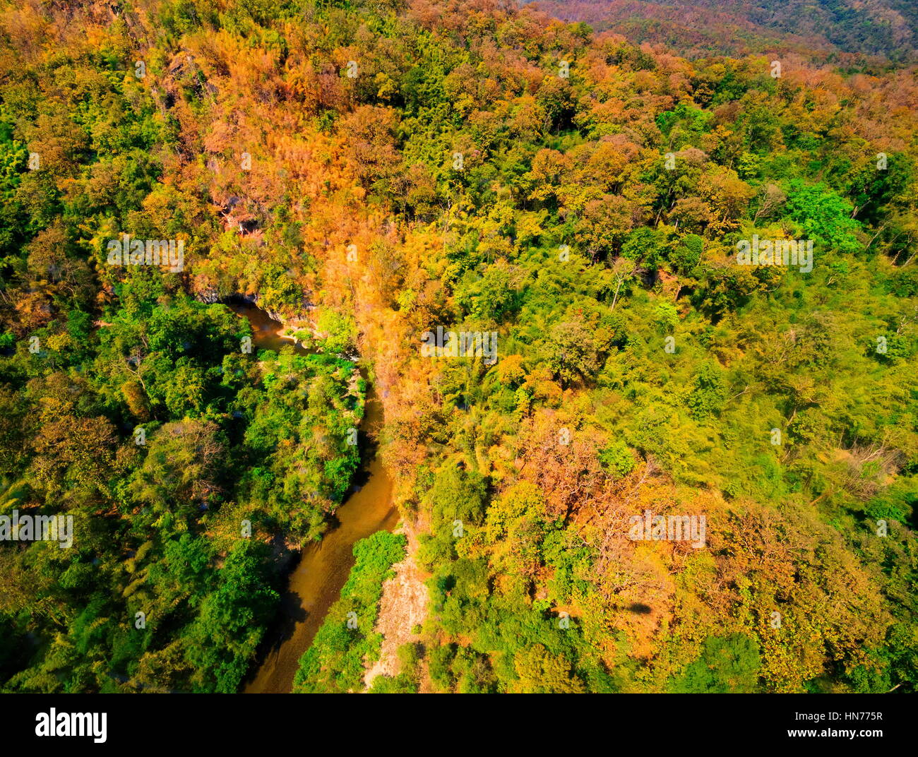 Aerial view of autumn forest Stock Photo - Alamy