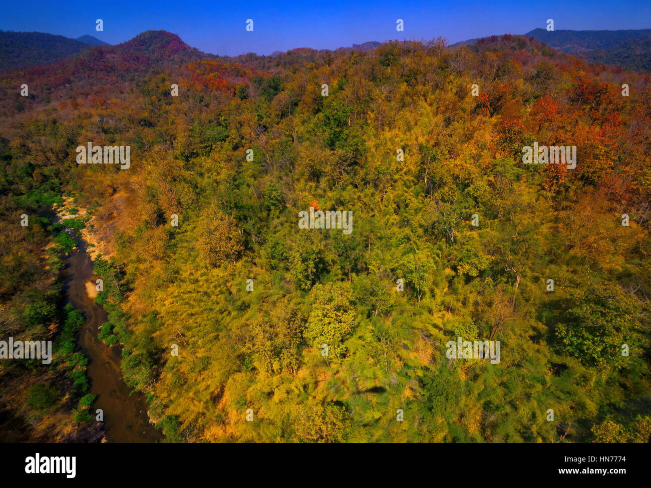 Aerial view of autumn forest Stock Photo - Alamy