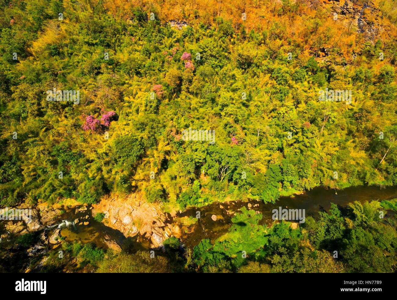 Aerial view of autumn forest Stock Photo - Alamy
