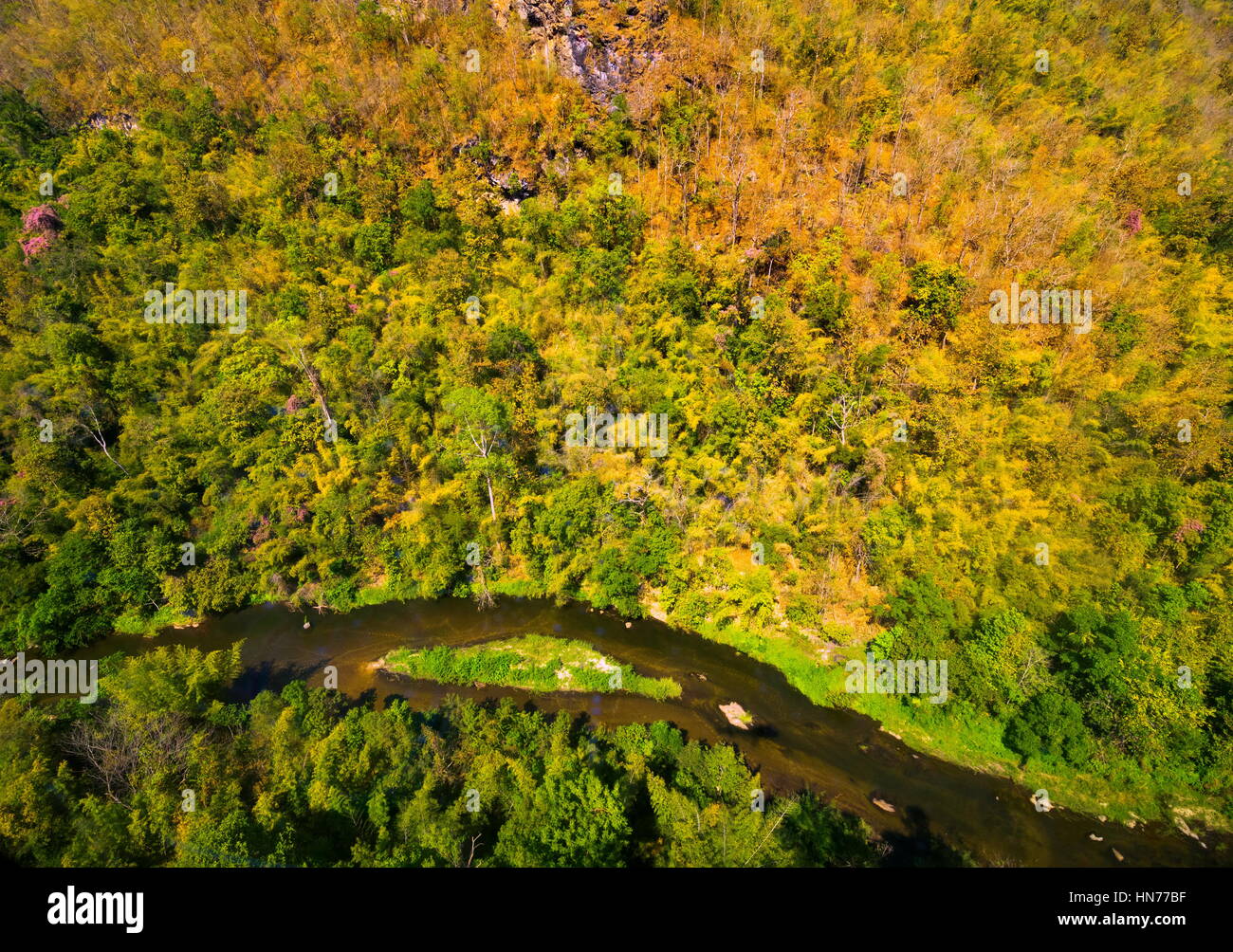 Aerial view of autumn forest Stock Photo - Alamy