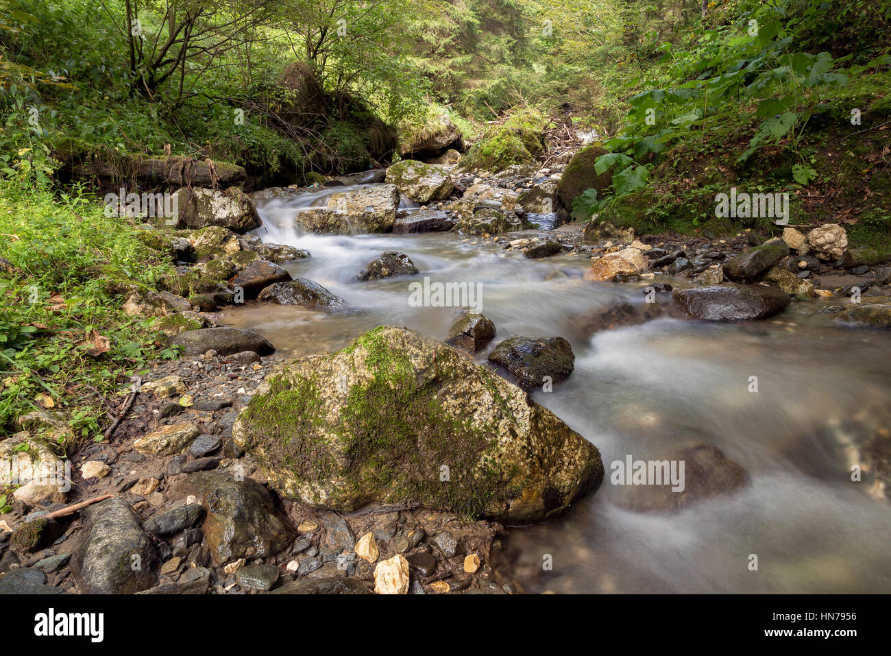 Clean mountain river quiet flow hi-res stock photography and images - Alamy